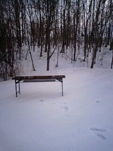 090318_0713~0001.jpg