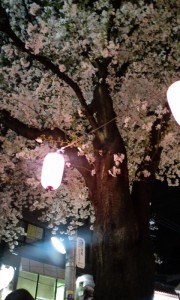 090404_2217~01.jpg