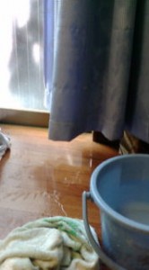 20090520080442.jpg