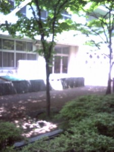 D1000177.jpg