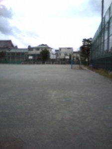 D1000187.jpg