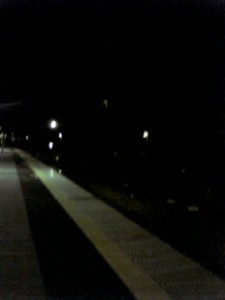 D1000249.jpg