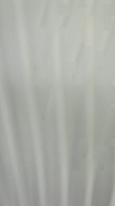 NEC_0324.jpg