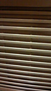 NEC_0346.jpg