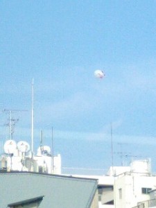 091108_1421~0001.jpg