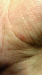 NEC_0381.jpg