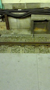 NEC_0383.jpg