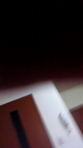 NEC_0399.jpg