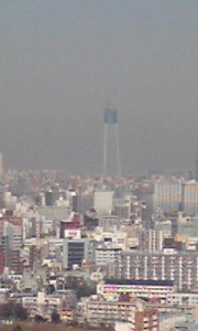 100115_1250~01.jpg