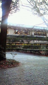NEC_0466.jpg