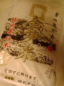 20100208232648.jpg