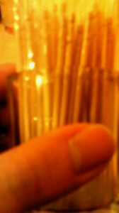 NEC_0497.jpg