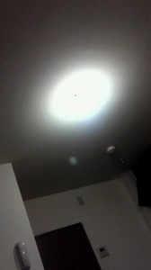 NEC_0500.jpg