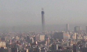 100305_0732~01.jpg