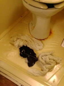 20100304234735.jpg
