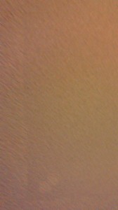 NEC_0529.jpg