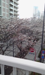 100401_1243~01.jpg