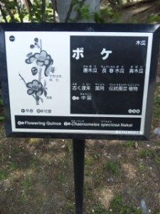 100505_1018~01.jpg