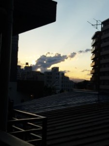 100616_1830~01.jpg