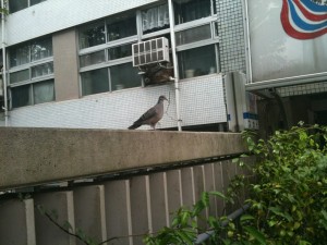 IMG_0465.jpg