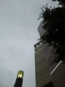100629_1817~01.jpg
