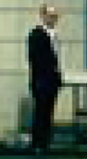 suzumayor