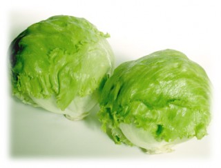 lettuce